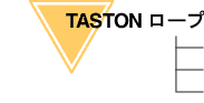 TASTON [v